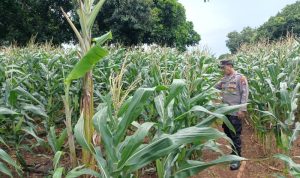 IMG-20260312-WA0141_copy_800x600