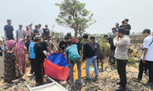 IMG-20261014-WA0045